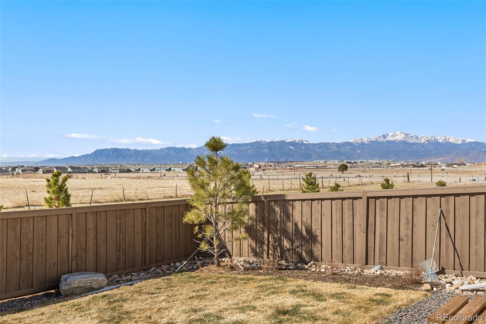 7929 Polson Drive Colorado Springs CO 80908