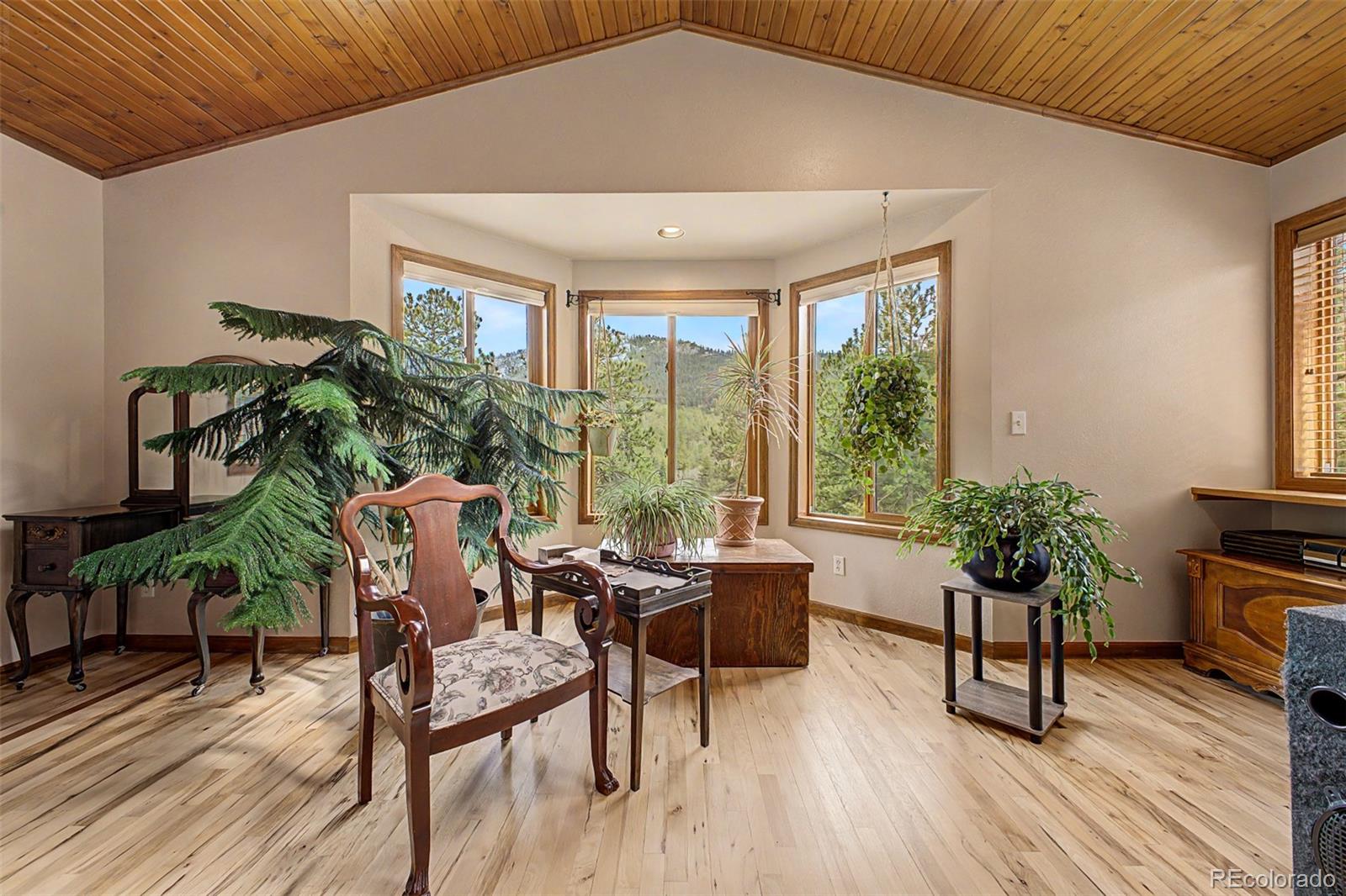 33478 Valley View Drive Evergreen CO 80439