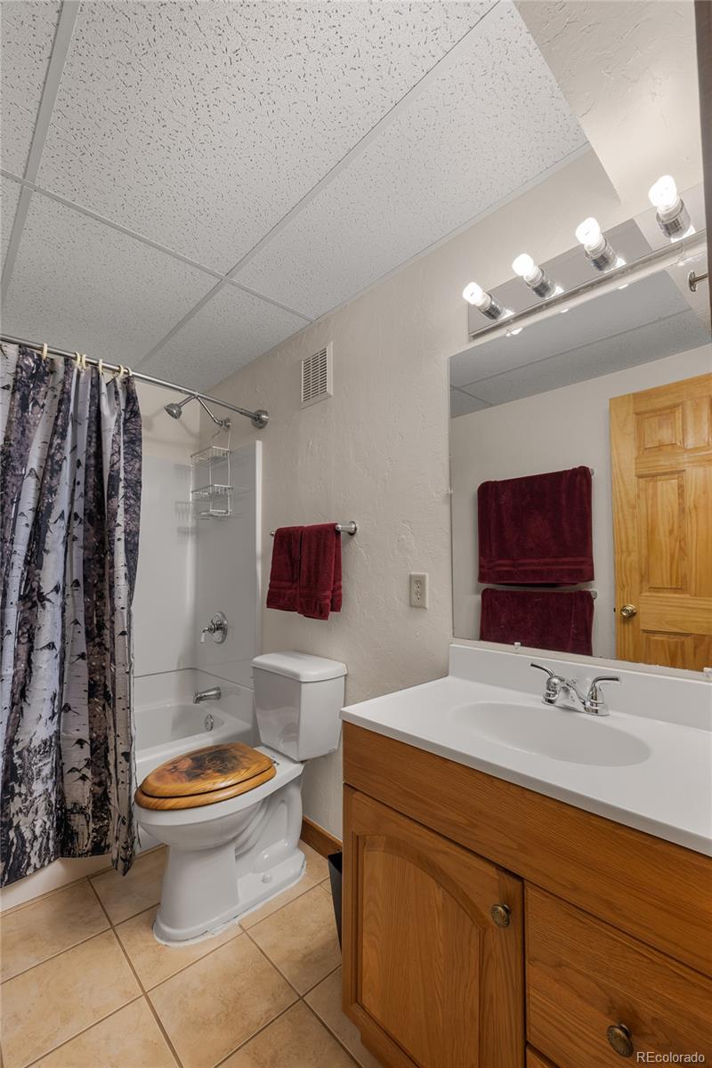 353 Wood Rose Way Leadville CO 80461