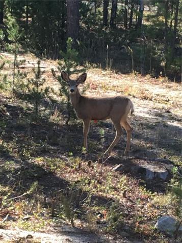 99 GCR 490 Grand Lake CO 80447