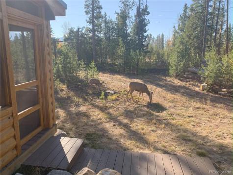 99 GCR 490 Grand Lake CO 80447