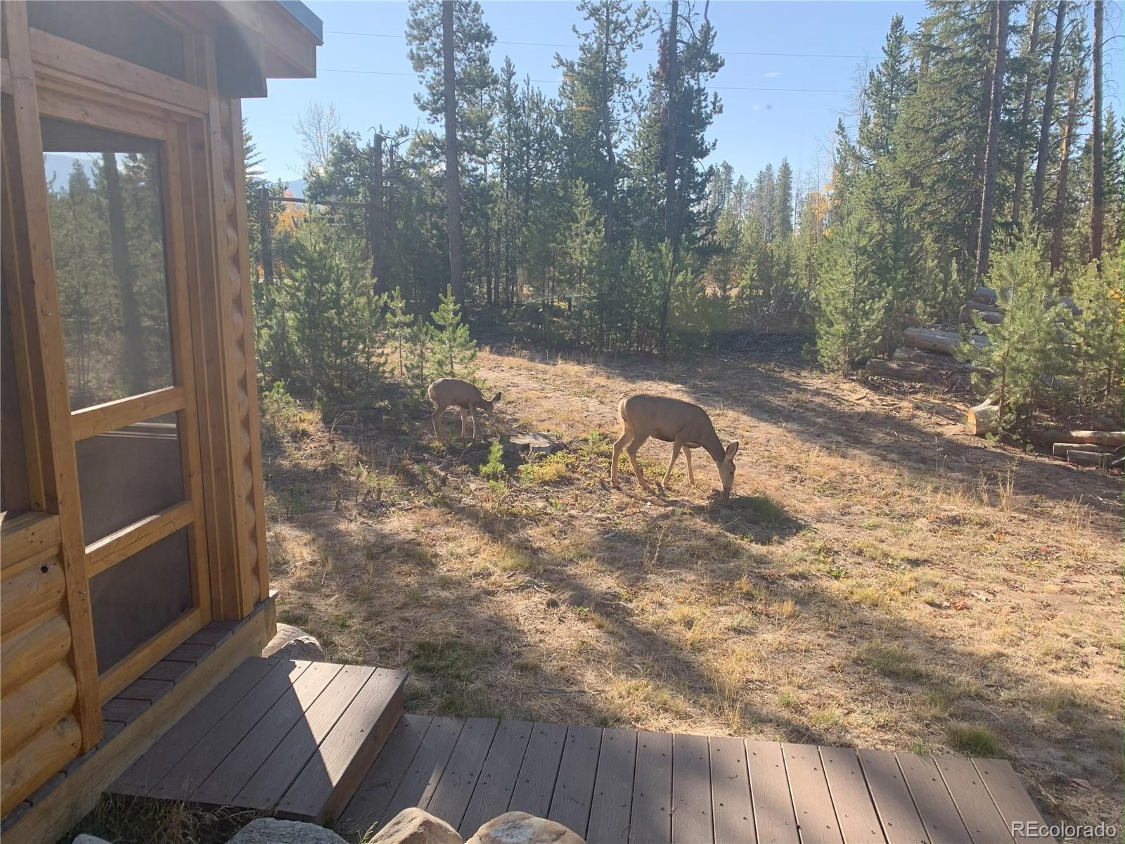 99 GCR 490 Grand Lake CO 80447