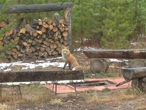 99 GCR 490 Grand Lake CO 80447