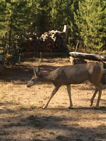 99 GCR 490 Grand Lake CO 80447