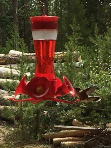 99 GCR 490 Grand Lake CO 80447