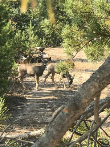 99 GCR 490 Grand Lake CO 80447