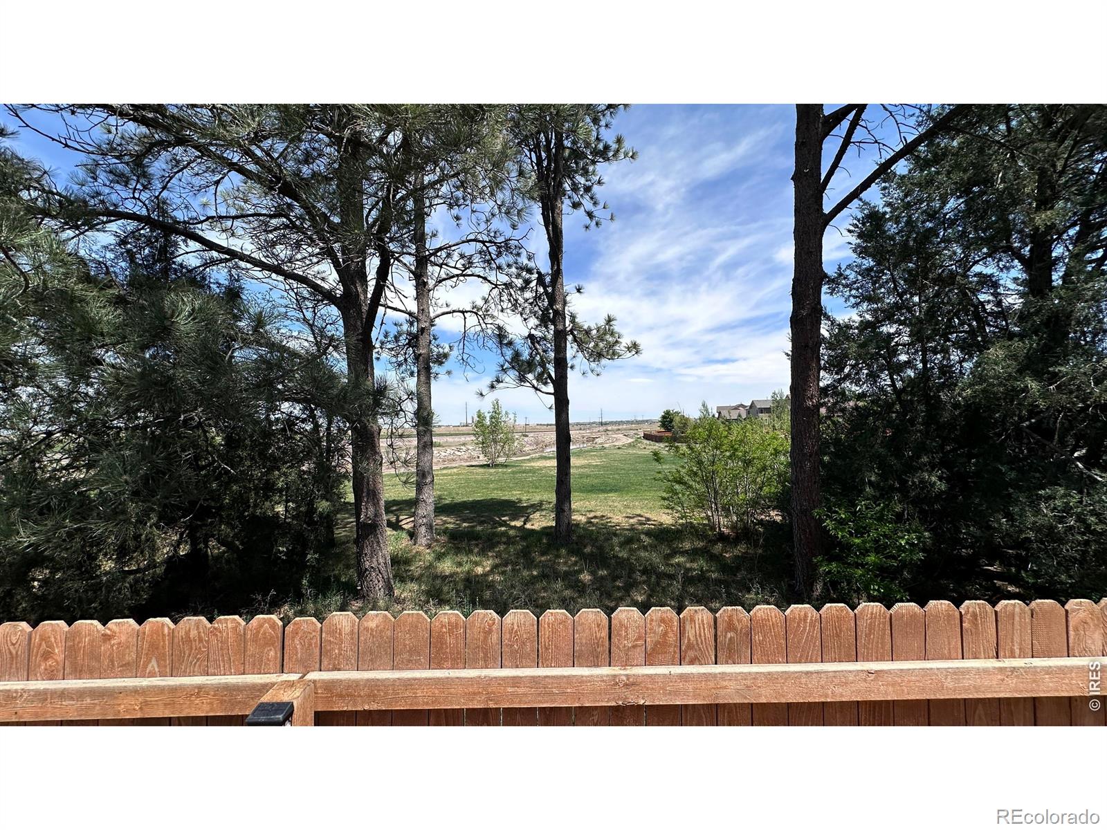 3162 Lower Loop Drive Fort Collins CO 80524
