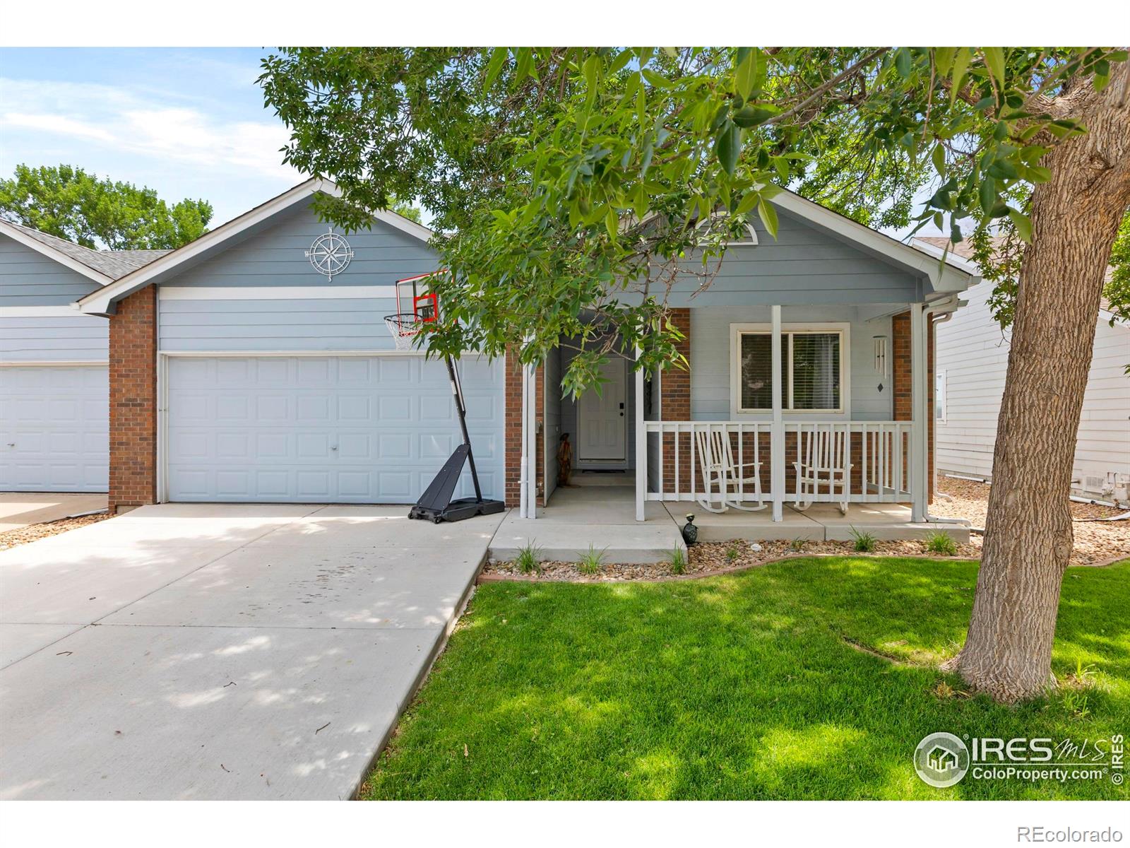 1264 Lavender Court Loveland CO 80537