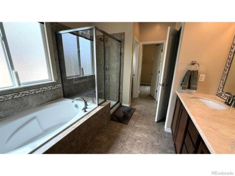 4613 Pompano Drive Windsor CO 80550
