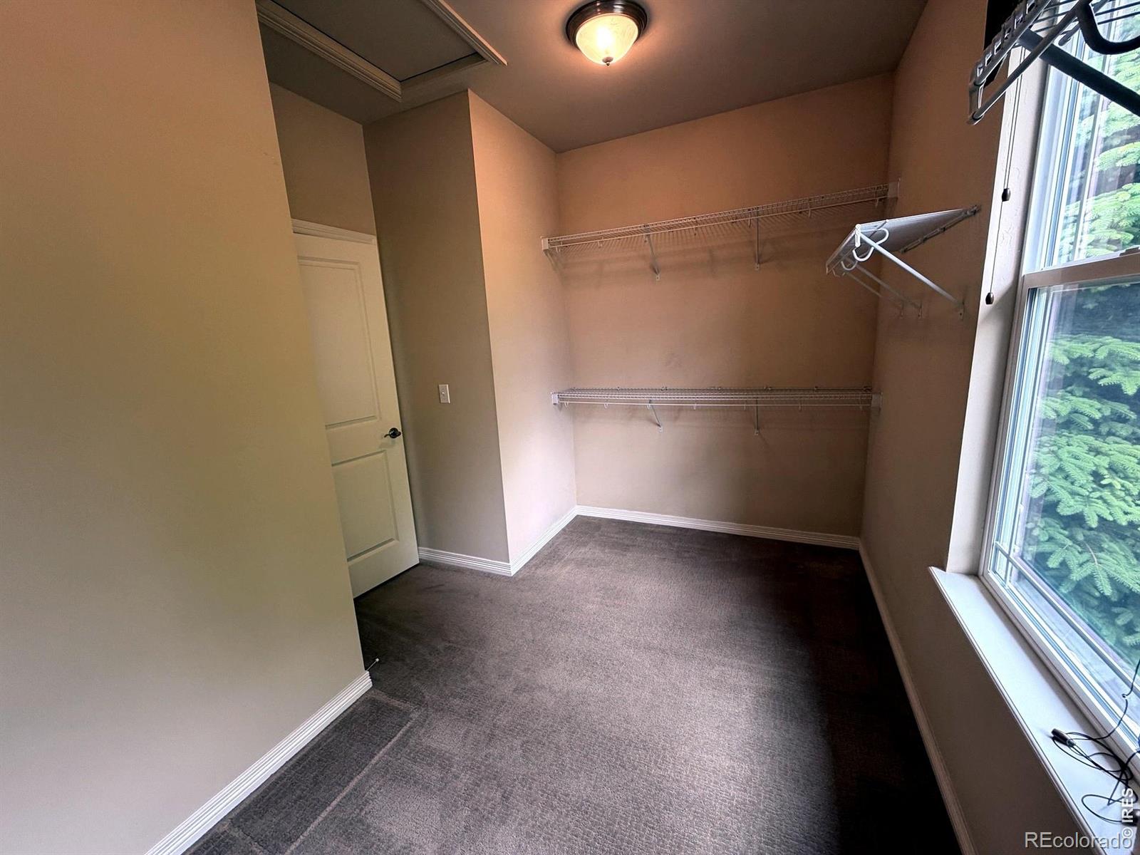 4613 Pompano Drive Windsor CO 80550