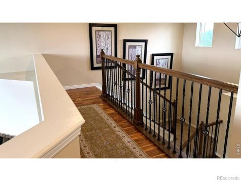4613 Pompano Drive Windsor CO 80550