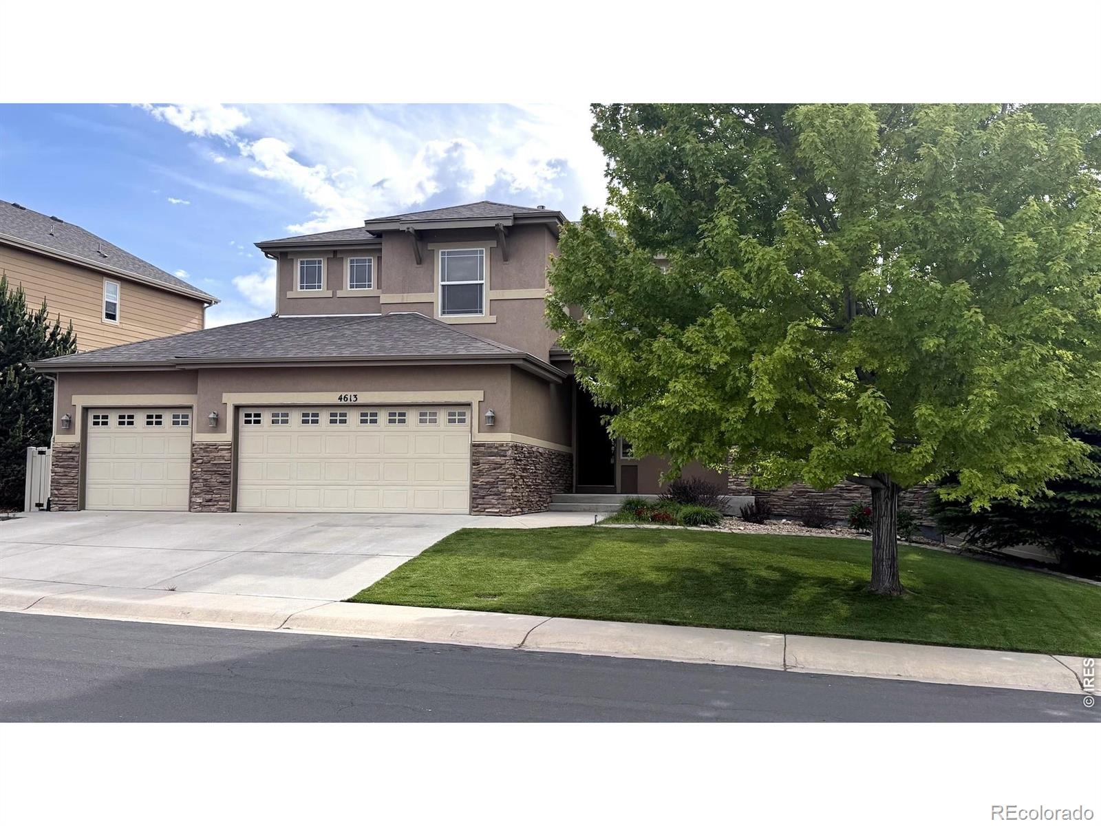 4613 Pompano Drive Windsor CO 80550