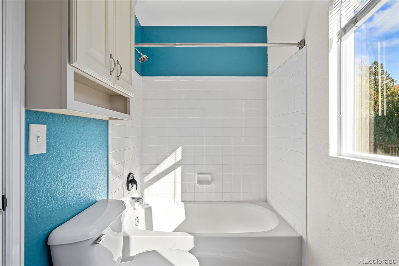 10880 Mount Bross Way Parker CO 80138