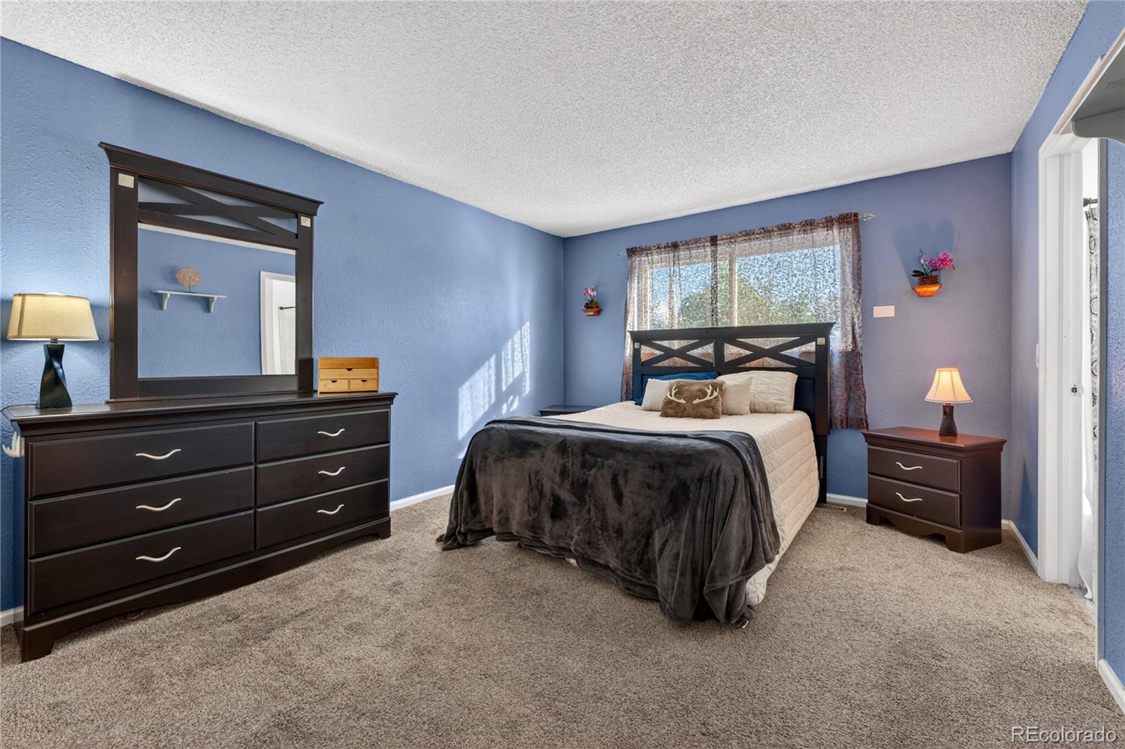 11158 Eudora Circle Thornton CO 80233