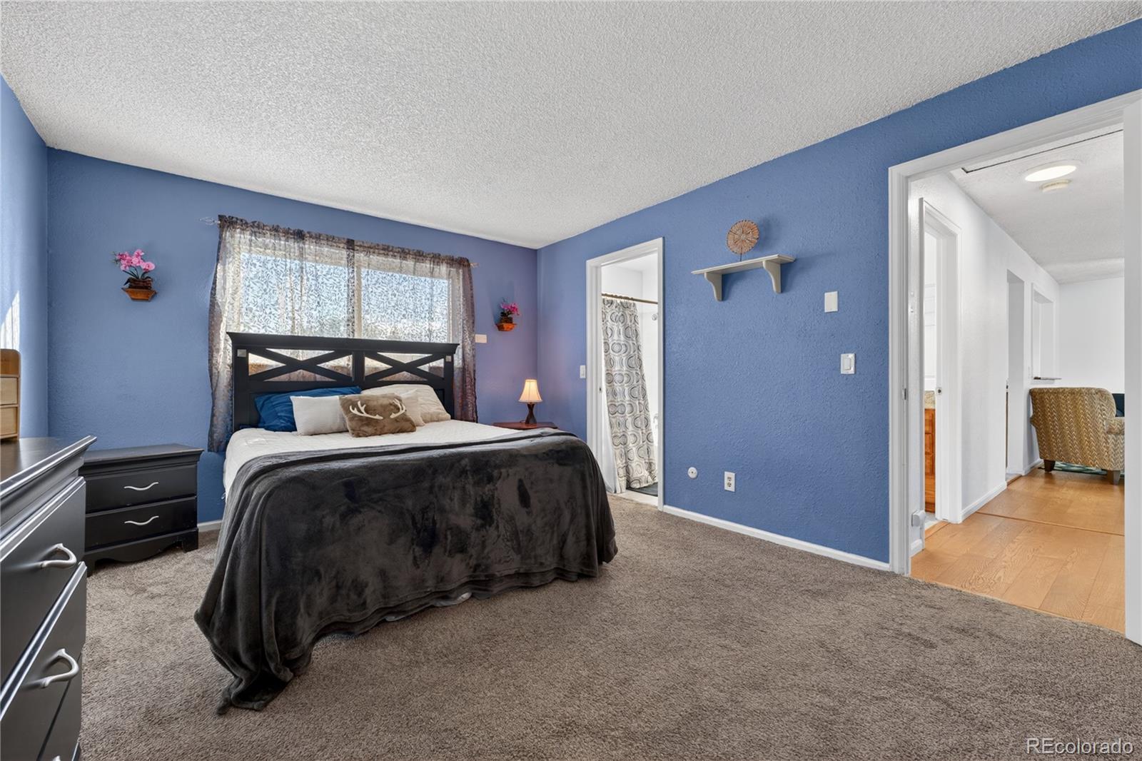 11158 Eudora Circle Thornton CO 80233