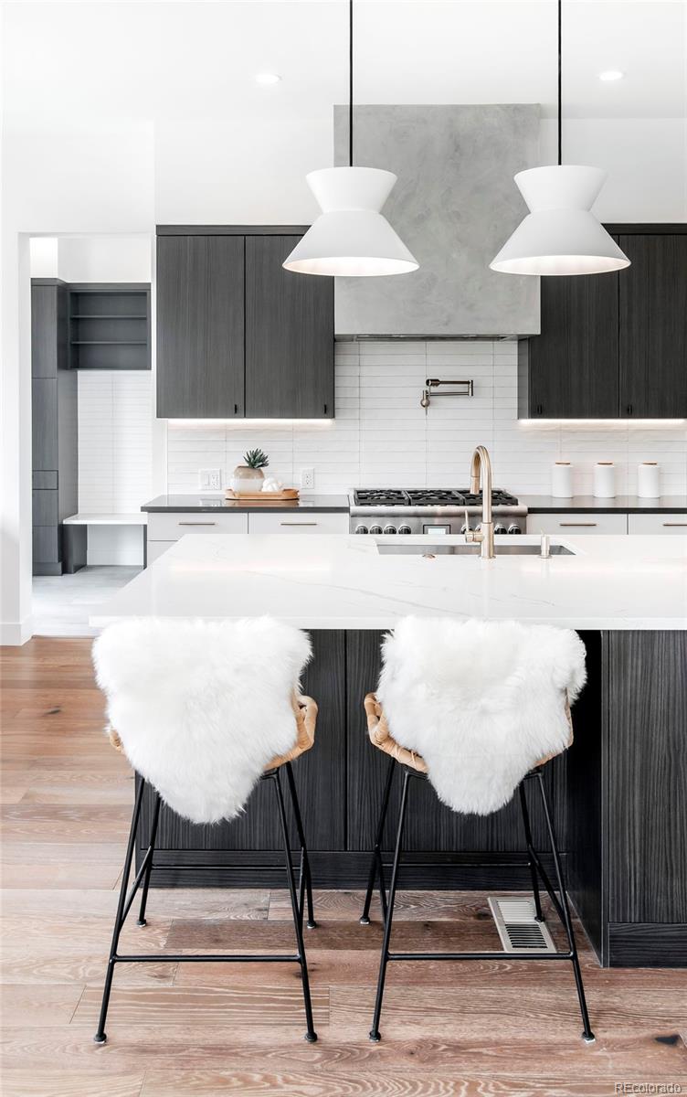 1749 S Gilpin Street Denver CO 80210