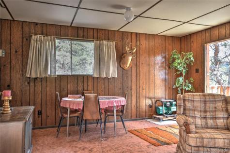 490 Teller Street Lake George CO 80827