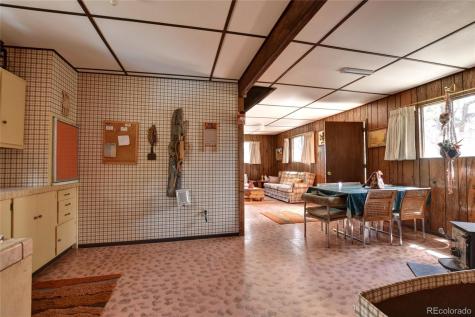 490 Teller Street Lake George CO 80827