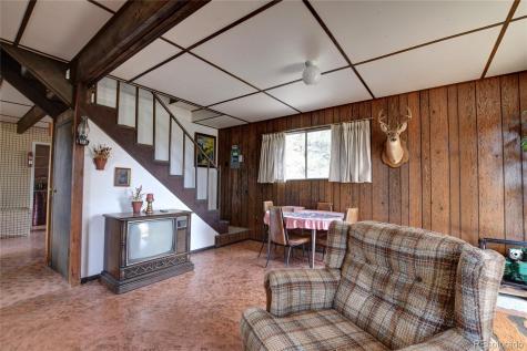490 Teller Street Lake George CO 80827
