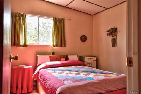 490 Teller Street Lake George CO 80827