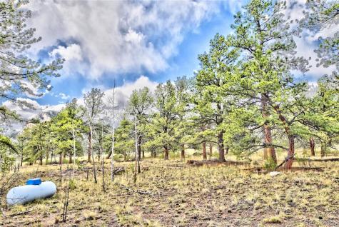 490 Teller Street Lake George CO 80827