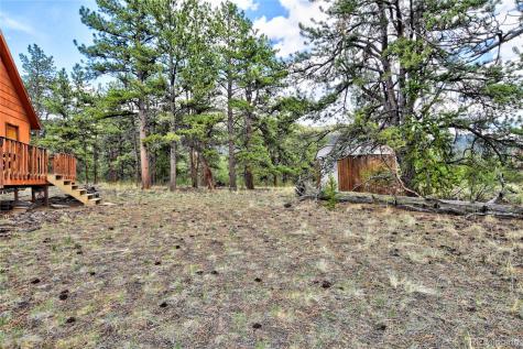 490 Teller Street Lake George CO 80827