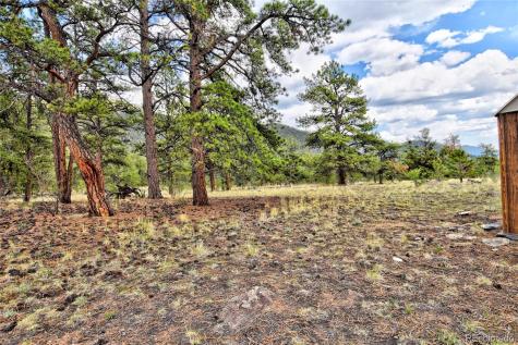 490 Teller Street Lake George CO 80827