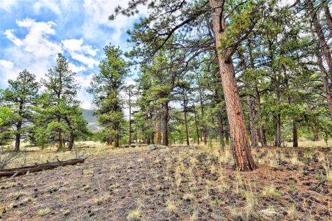 490 Teller Street Lake George CO 80827