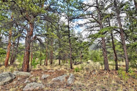 490 Teller Street Lake George CO 80827