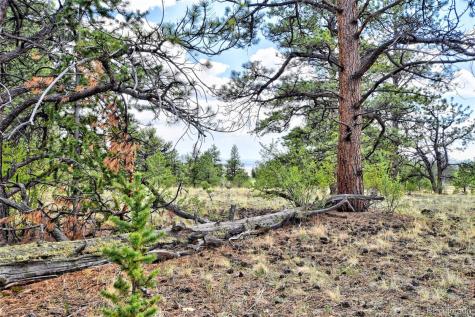 490 Teller Street Lake George CO 80827