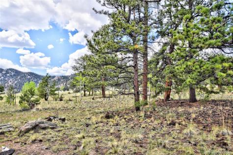 490 Teller Street Lake George CO 80827