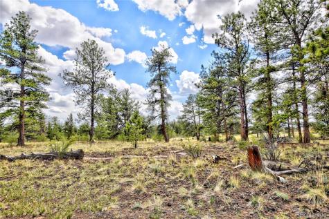 490 Teller Street Lake George CO 80827