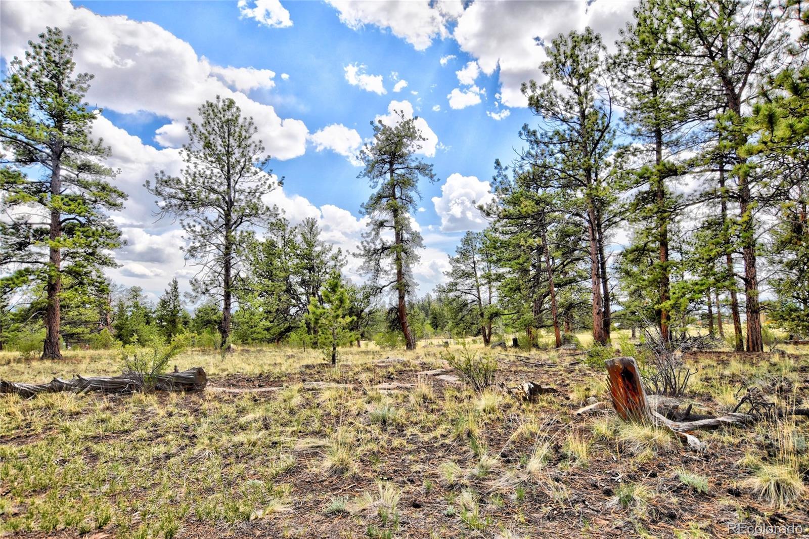 490 Teller Street Lake George CO 80827