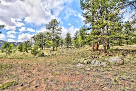 490 Teller Street Lake George CO 80827