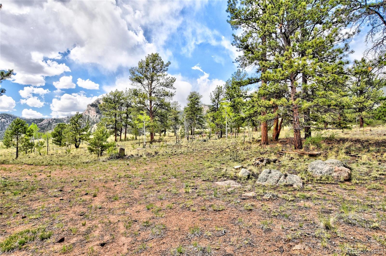 490 Teller Street Lake George CO 80827