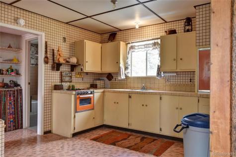 490 Teller Street Lake George CO 80827