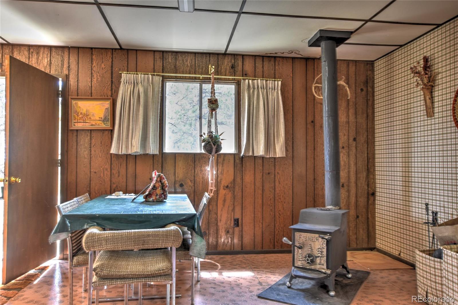 490 Teller Street Lake George CO 80827