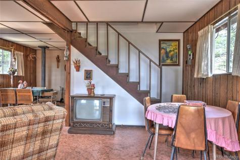 490 Teller Street Lake George CO 80827