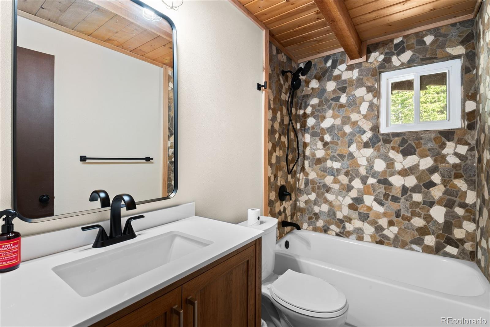 827 Mine Road Idaho Springs CO 80452
