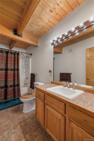 353 Wood Rose Way Leadville CO 80461
