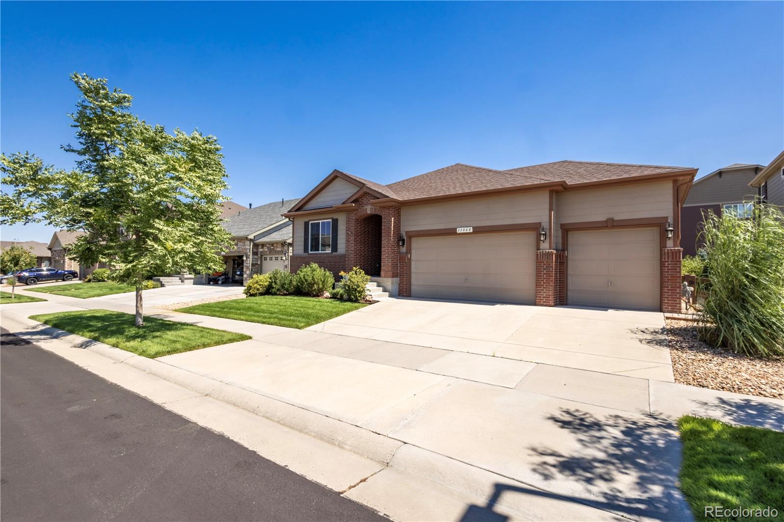 13060 Norway Maple Street Parker CO 80134