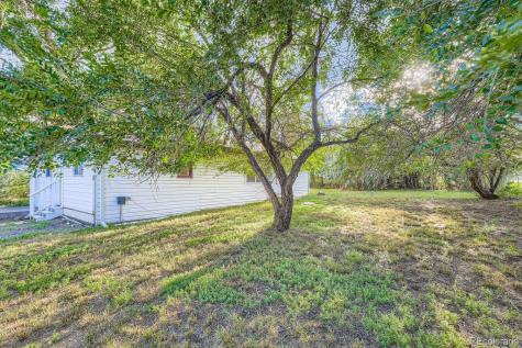 1160 Illinois Avenue Canon City CO 81212