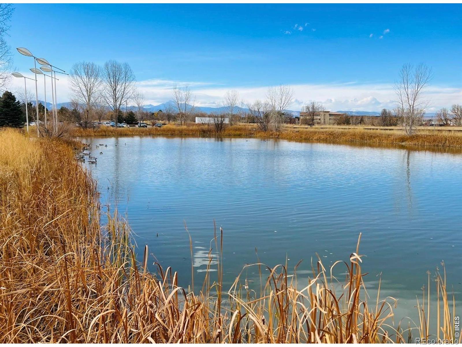 1147 Trout Creek Circle Longmont CO 80504