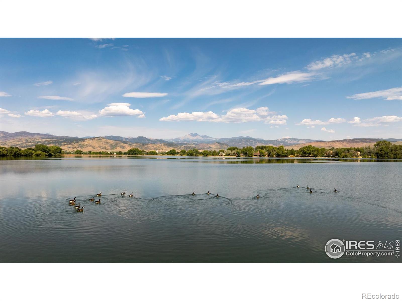 12357 N 75th Street Longmont CO 80503