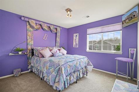 7427 Slate Court Castle Rock CO 80108
