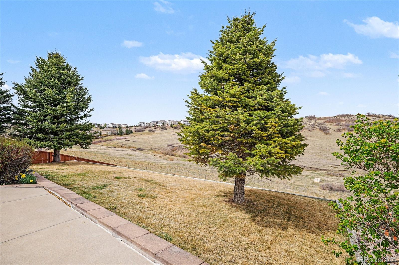 7427 Slate Court Castle Rock CO 80108