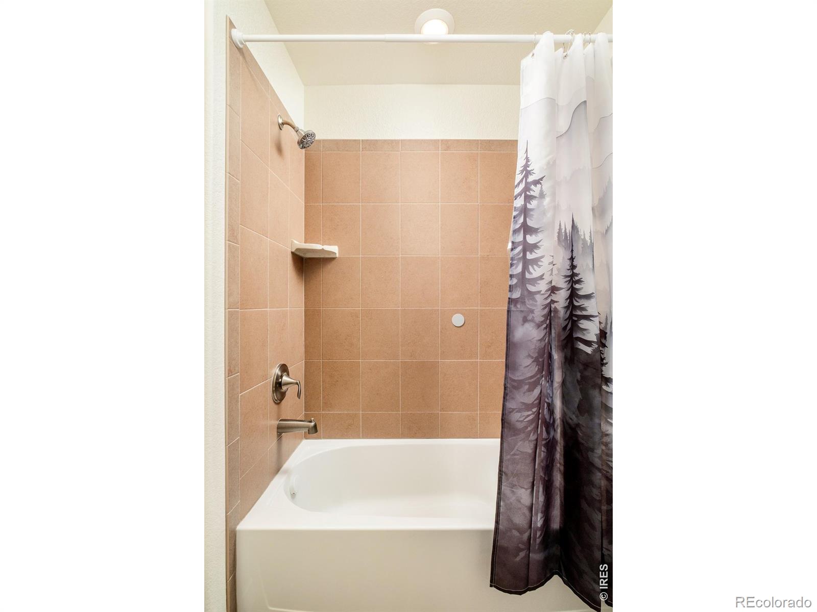14247 Hudson Street Thornton CO 80602
