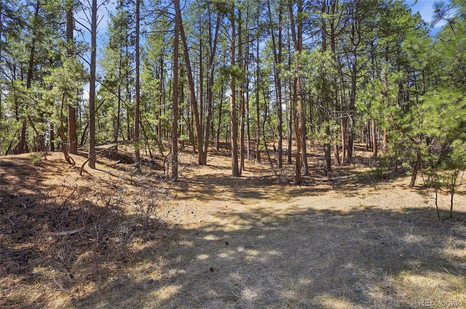 11044 Conestoga Place Franktown CO 80116