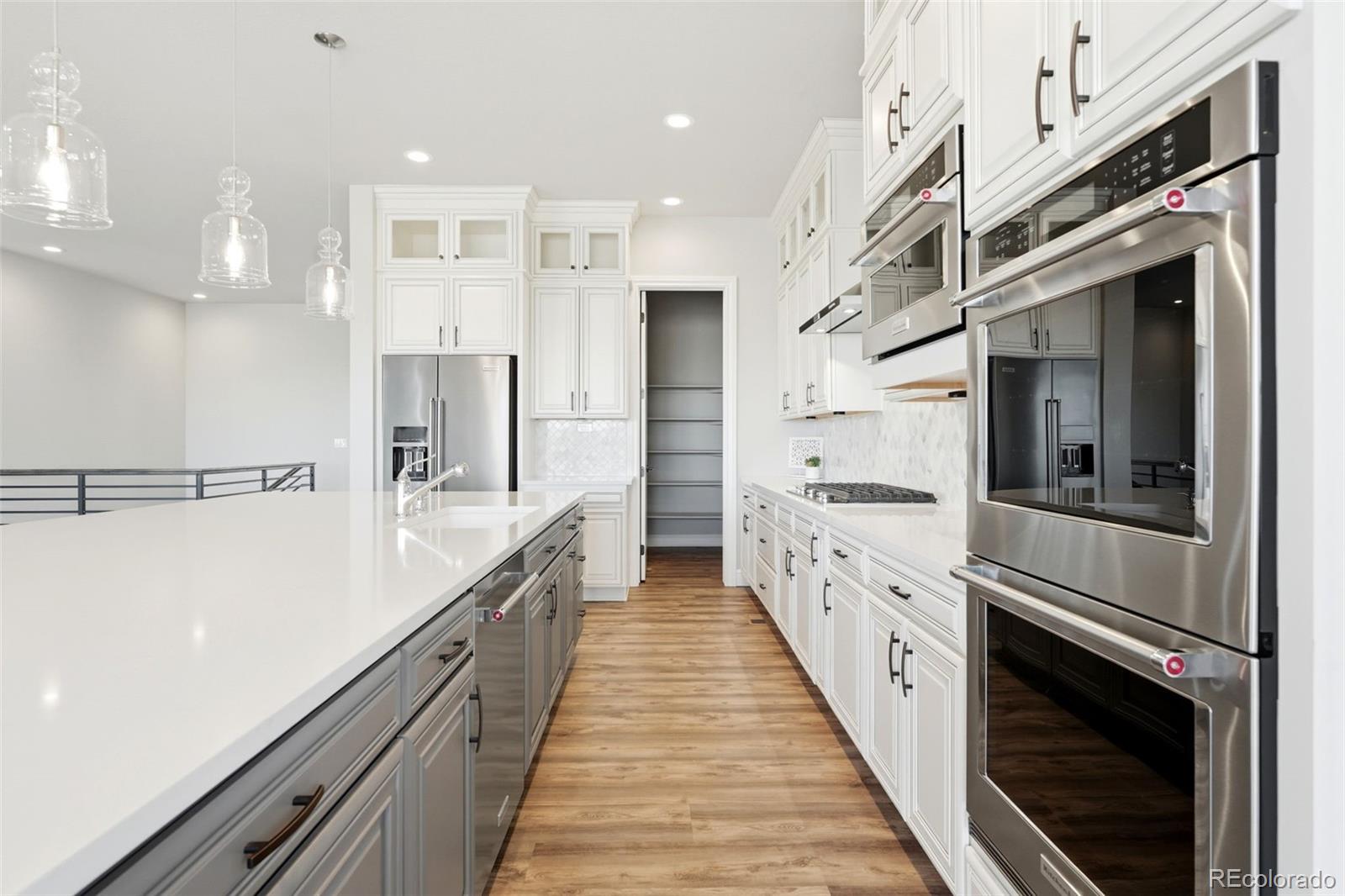 851 Alumroot Street Castle Rock CO 80104