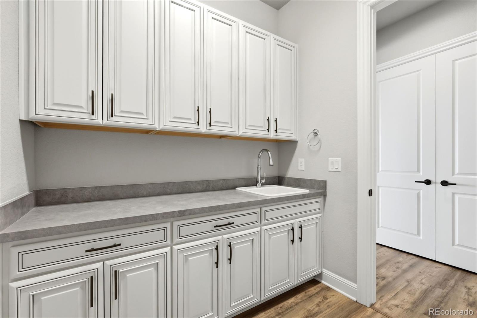 851 Alumroot Street Castle Rock CO 80104